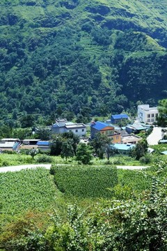 曲靖大山山村