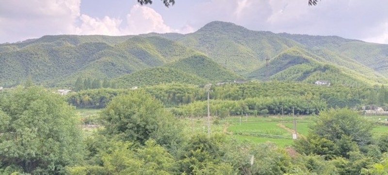 湖州莫干山