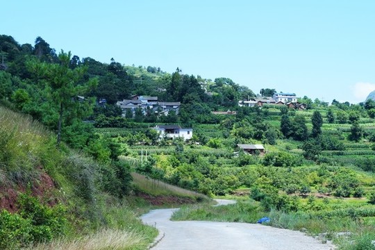 曲靖大山山村