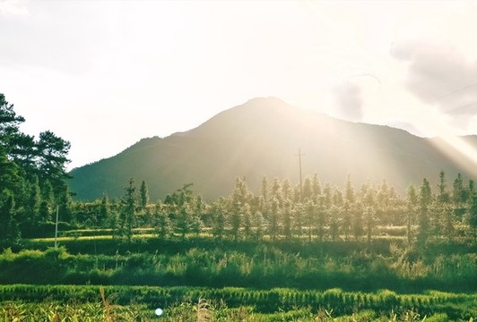湖南永州藍(lán)山鄉(xiāng)村