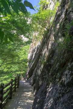 太白山三國古棧道