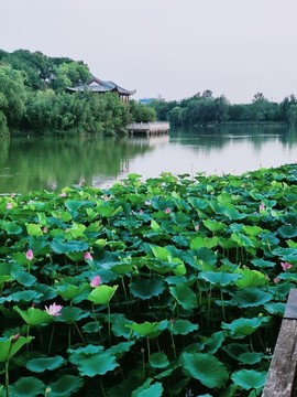 徐州云龍湖小南湖珠山
