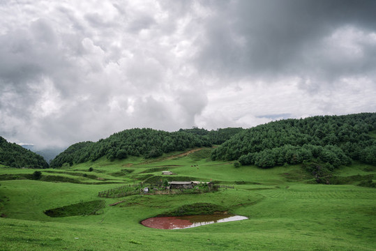 高山草場