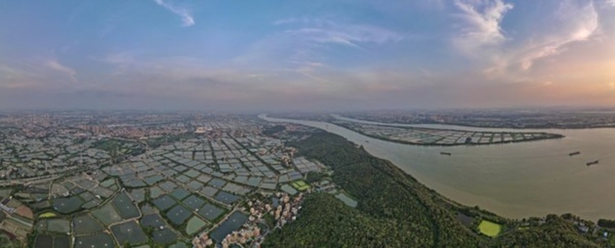 珠三角順德杏壇水鄉(xiāng)風(fēng)光