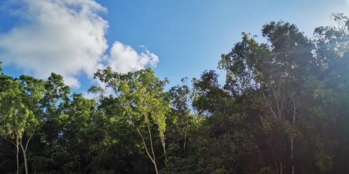 后山的風(fēng)景