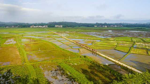 田園