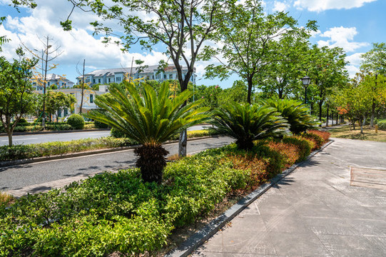 公園綠植