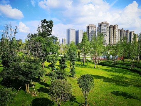 城市綠化