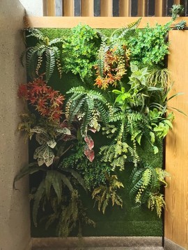 綠植背景墻