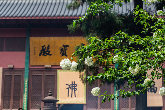 杭州靈隱寺
