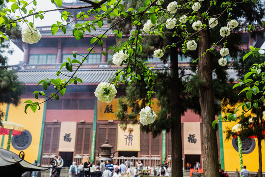 杭州靈隱寺