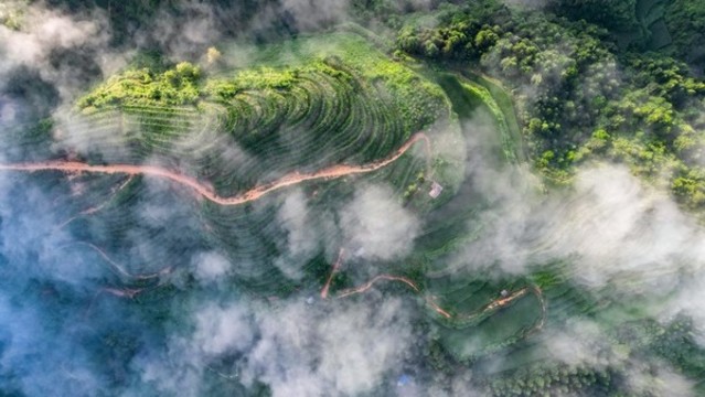 山川云海