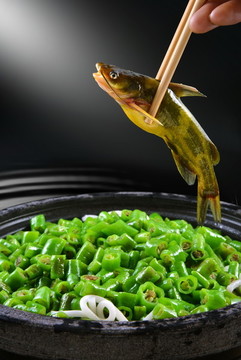 石鍋黃顙魚