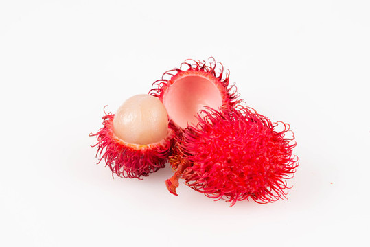 紅毛丹