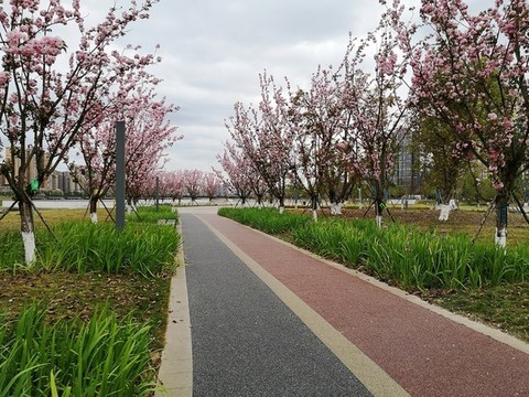 公園綠道