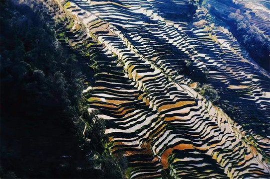 梯田