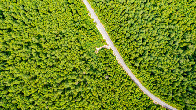 林海公路