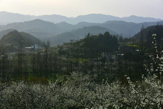 貴州烏當(dāng)姨媽寨