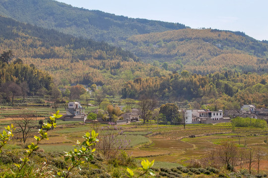 塔川村