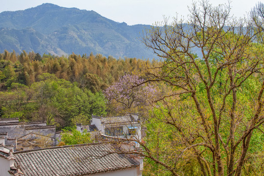 塔川村