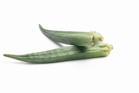 秋葵