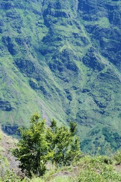 懸崖大峽谷