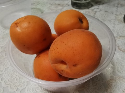 黃杏