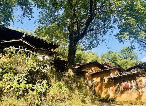 江西景德鎮(zhèn)三寶國際陶藝村
