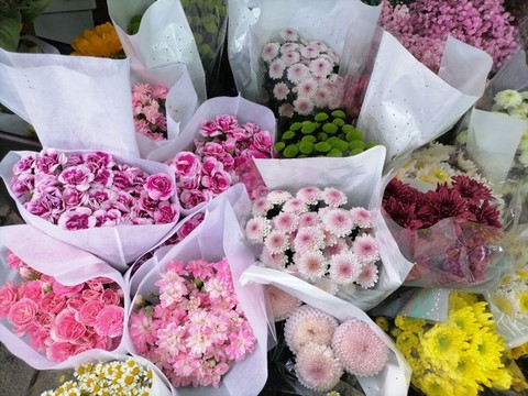 菊花
