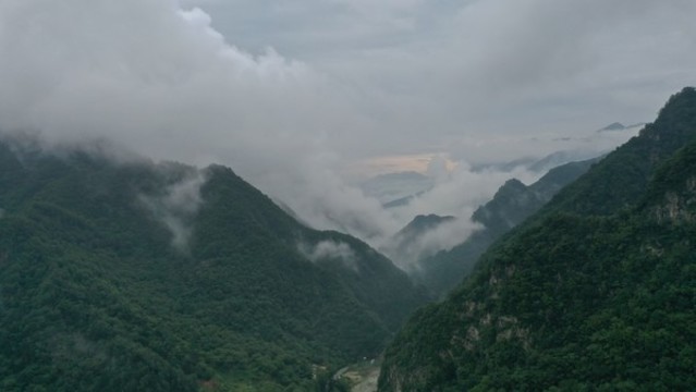 航拍秦嶺山脈森林植被