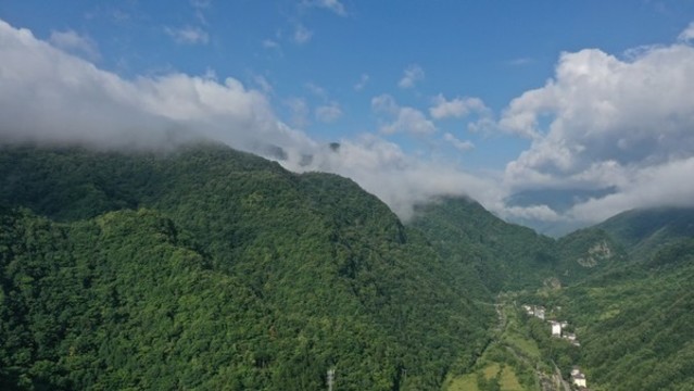 航拍秦嶺山脈云霧繚繞原始森林
