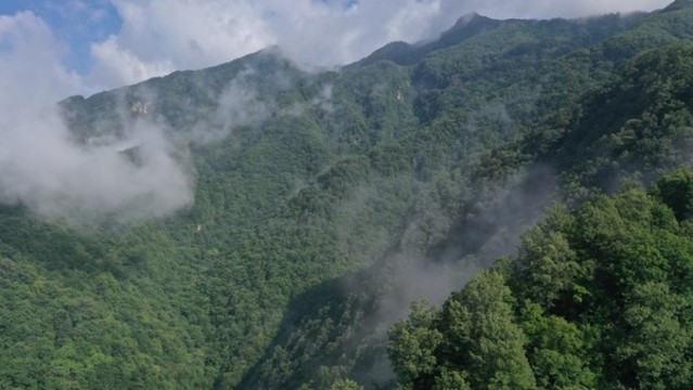 航拍秦嶺山脈云霧繚繞