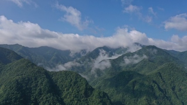 航拍秦嶺山脈云霧繚繞