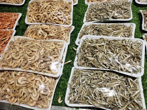 小魚(yú)與蝦