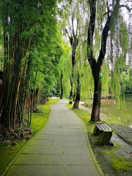 公園小路
