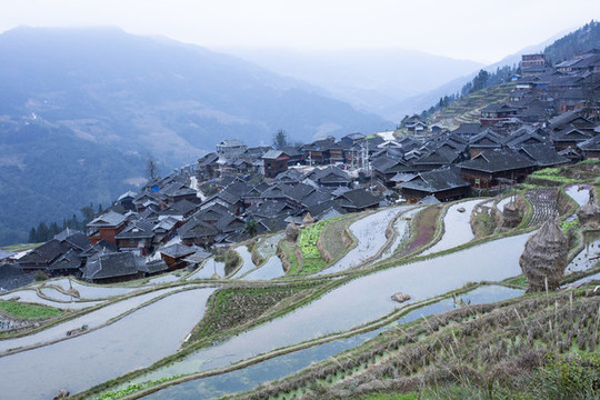 貴州從江加榜梯田