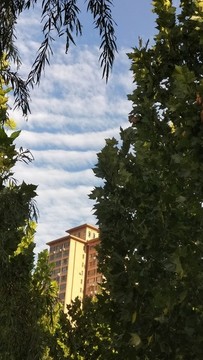 層云