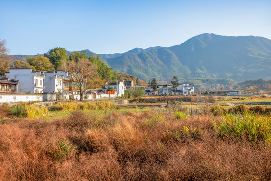 塔川村
