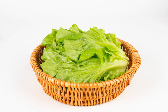 生菜