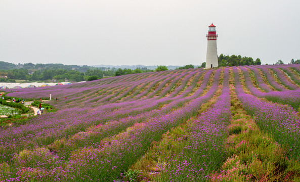 成都雙流熏香山谷