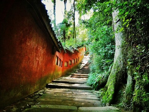都江堰青城山天師洞
