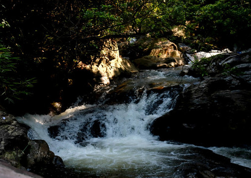 山澗河流