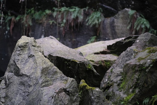 石頭