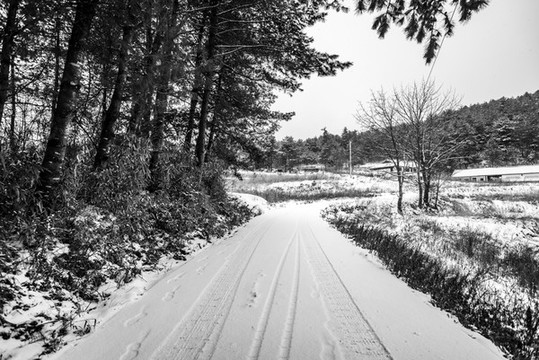 森林里積雪覆蓋的林間小路