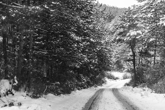 森林里積雪覆蓋的林間小路