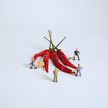 小人國生產(chǎn)紅辣椒