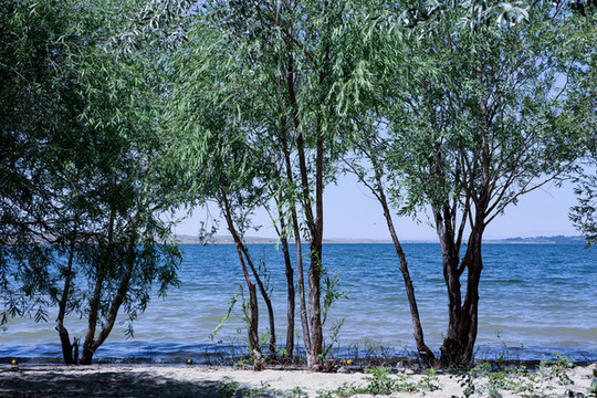 湖邊小景