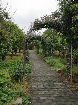 植物門(mén)