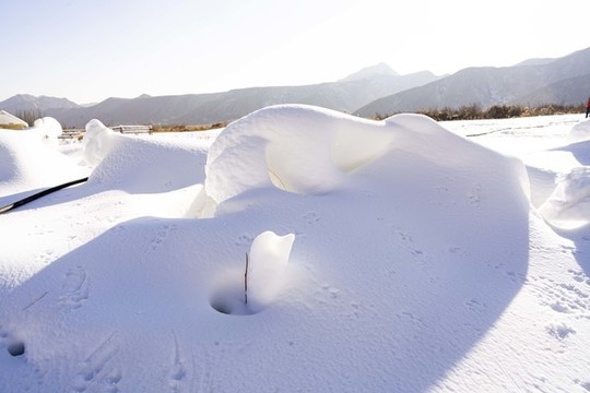 雪景