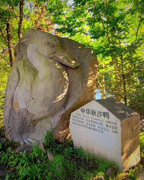 野鴨雕塑